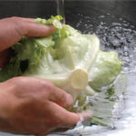 野菜も洗える安心感