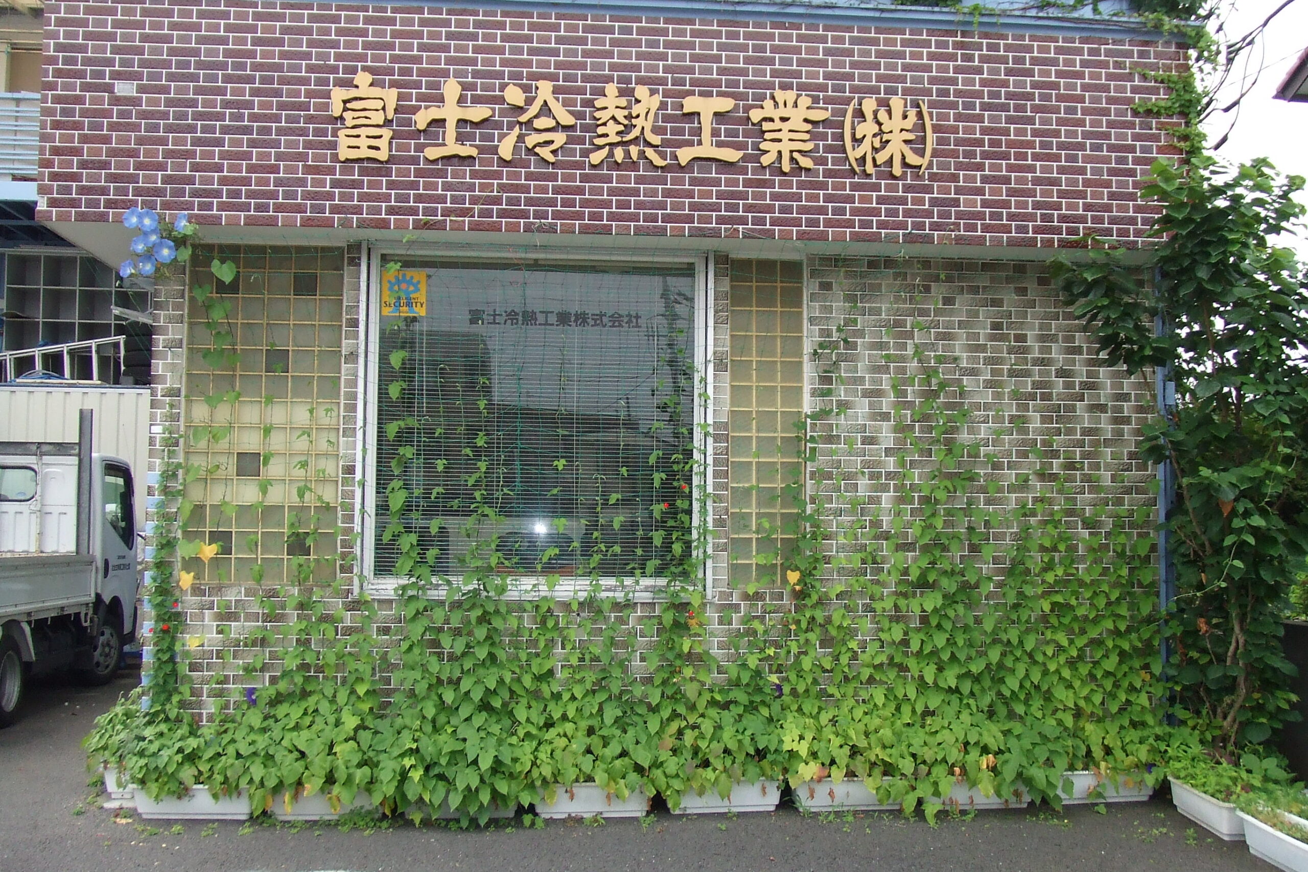 緑のカ－テン4