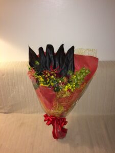 2015-12-13 20.39.43
