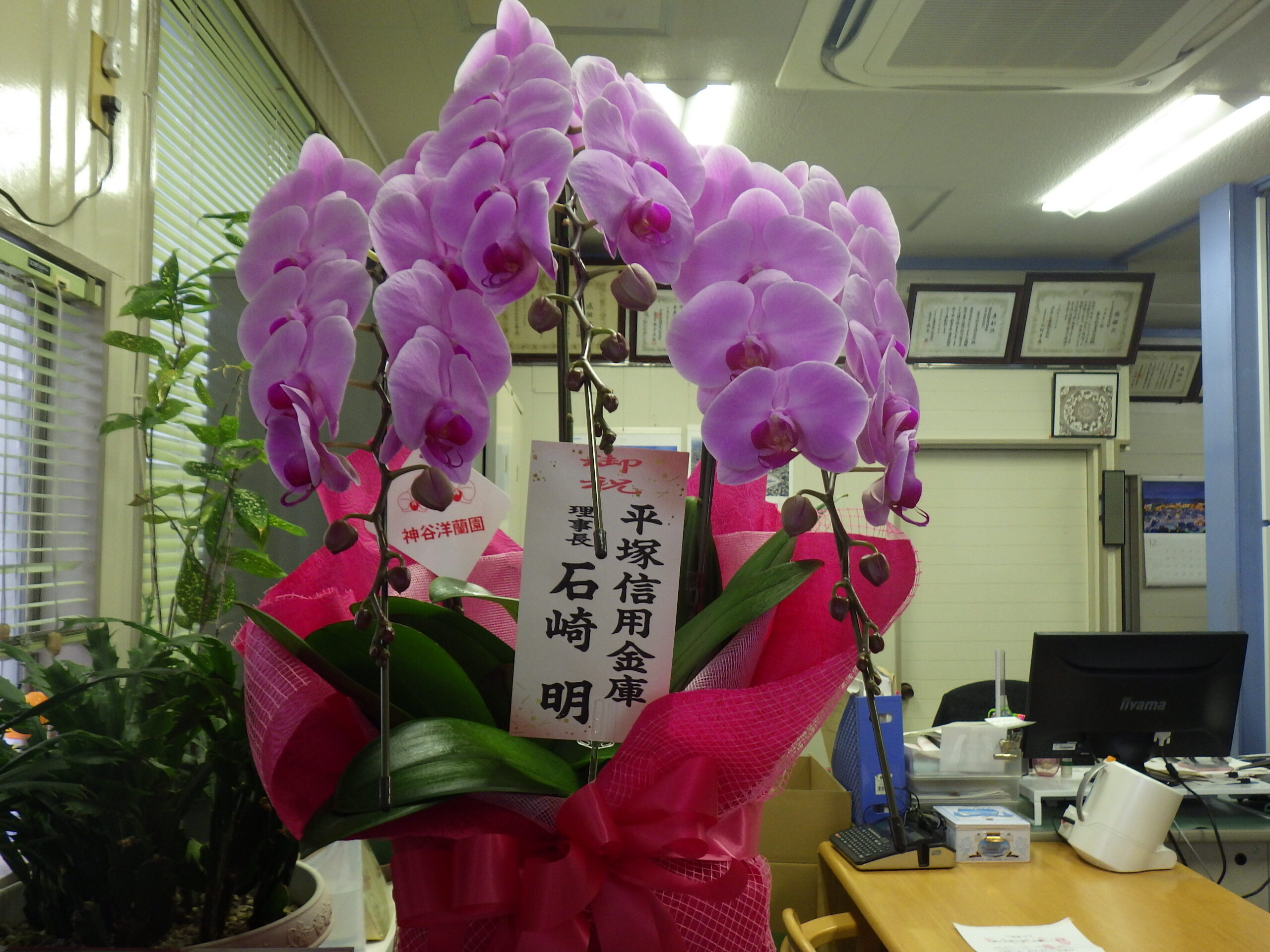 創立40周年記念のお祝いをいただきました。