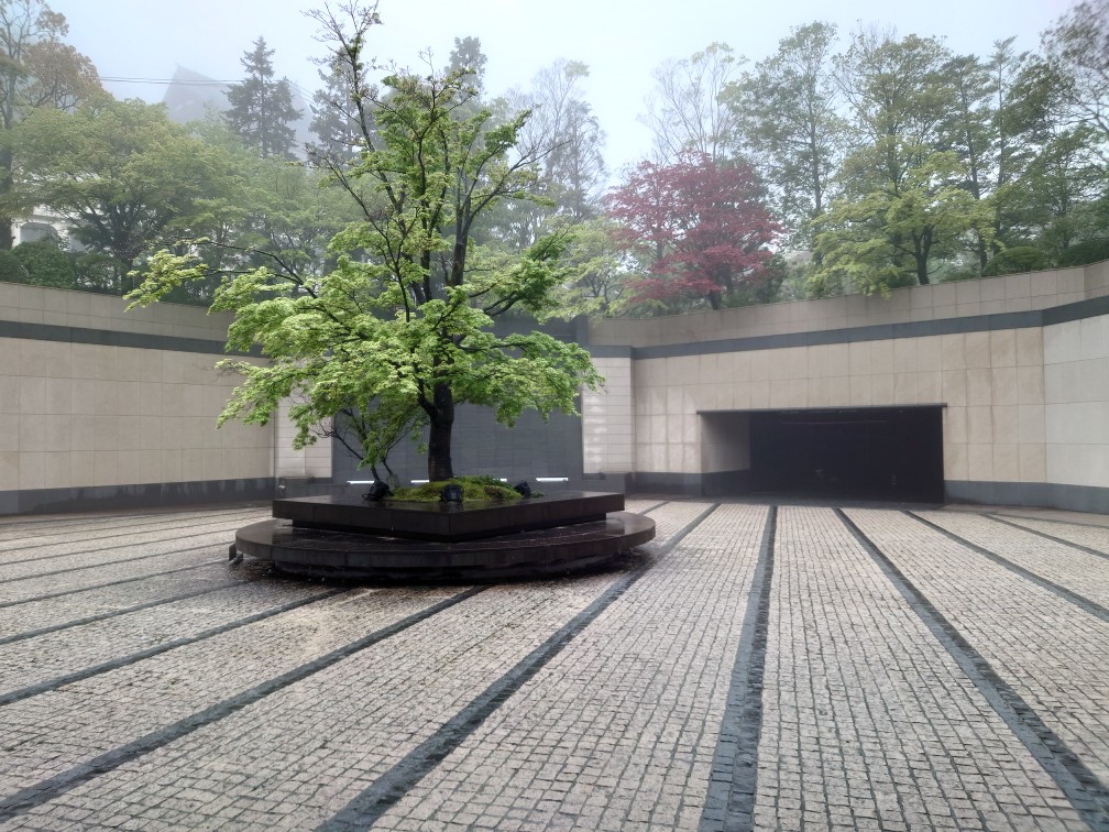 新年度の事業報告会を開催しました。