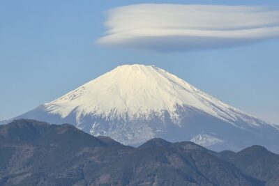 恭賀新年　今年も宜しくお願い致します。